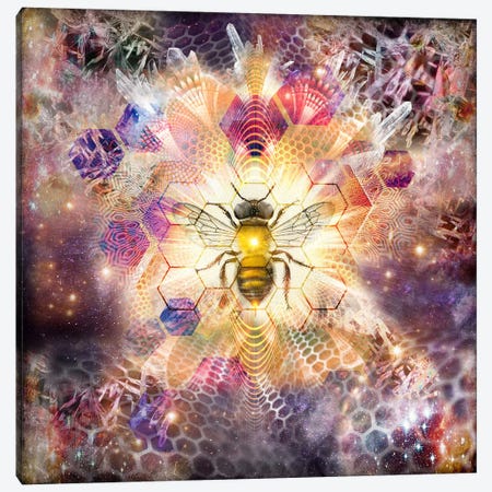 Cosmic Honeybee Canvas Print #MWM12} by Misprint Canvas Artwork