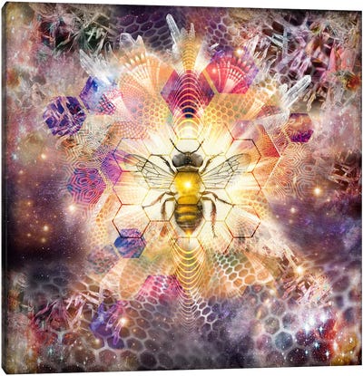 Cosmic Honeybee Canvas Art Print - Misprint