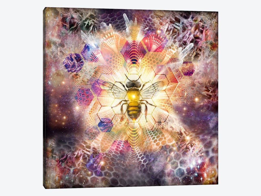 Cosmic Honeybee by Misprint 1-piece Canvas Print