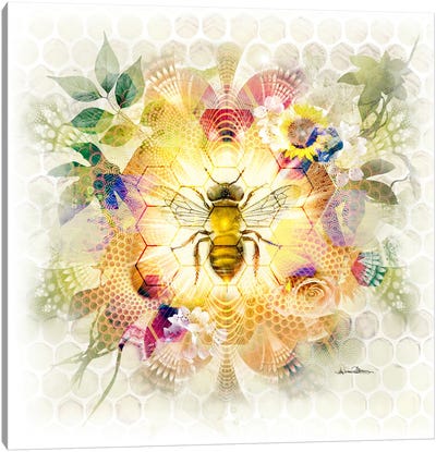 Honeybee Canvas Art Print - Bee Art