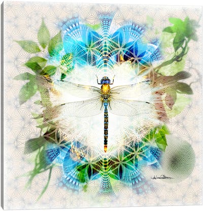 Dragonfly Canvas Art Print - Misprint