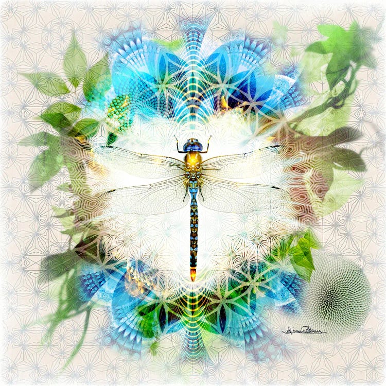 Dragonfly