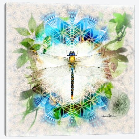 Dragonfly Canvas Print #MWM16} by Misprint Canvas Print