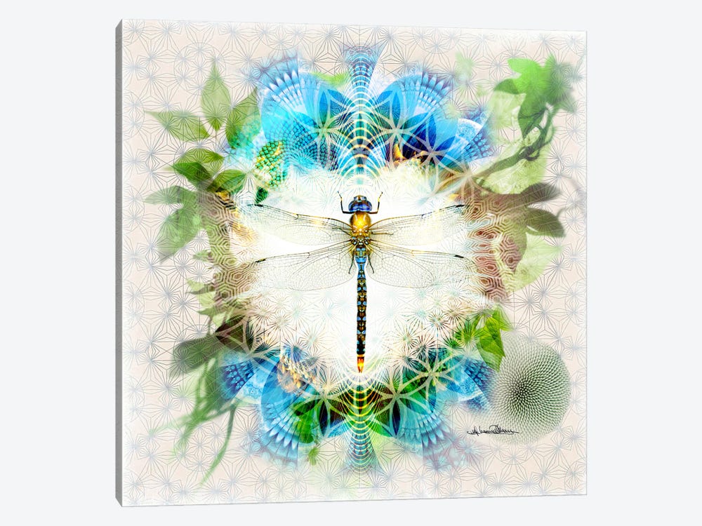 Dragonfly by Misprint 1-piece Canvas Print