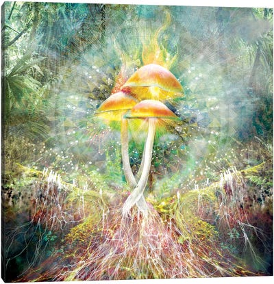Mushroom Mycelium Canvas Art Print - Mushroom Art