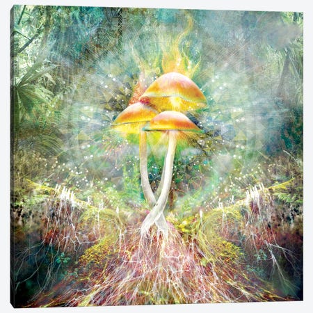 Mushroom Mycelium Canvas Print #MWM25} by Misprint Canvas Art