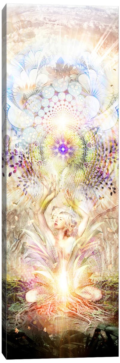 Soul Awakening Canvas Art Print - Healing Art