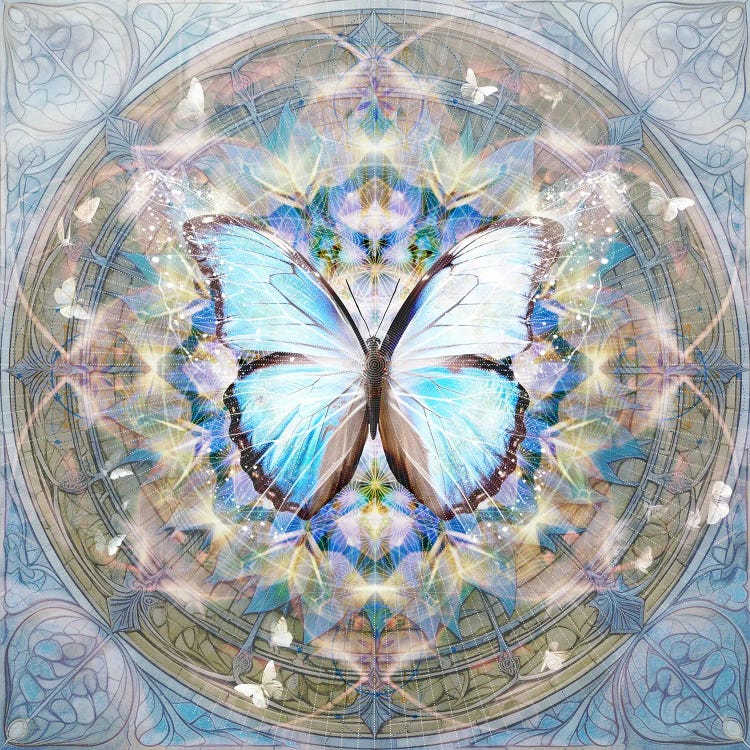 Blue Butterfly Mandala