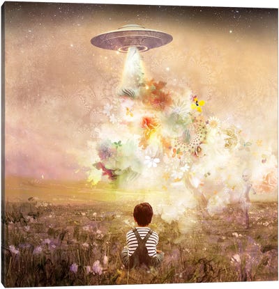 Are We Alone Canvas Art Print - UFO Art