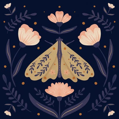 Moth And Flowers by Angela Minca framed wall art