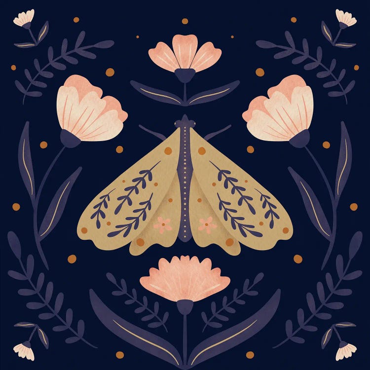 Moth And Flowers