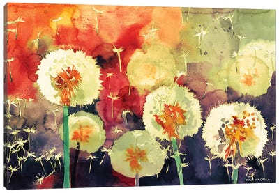 Dandelions Canvas Art Print - Maja Wronska