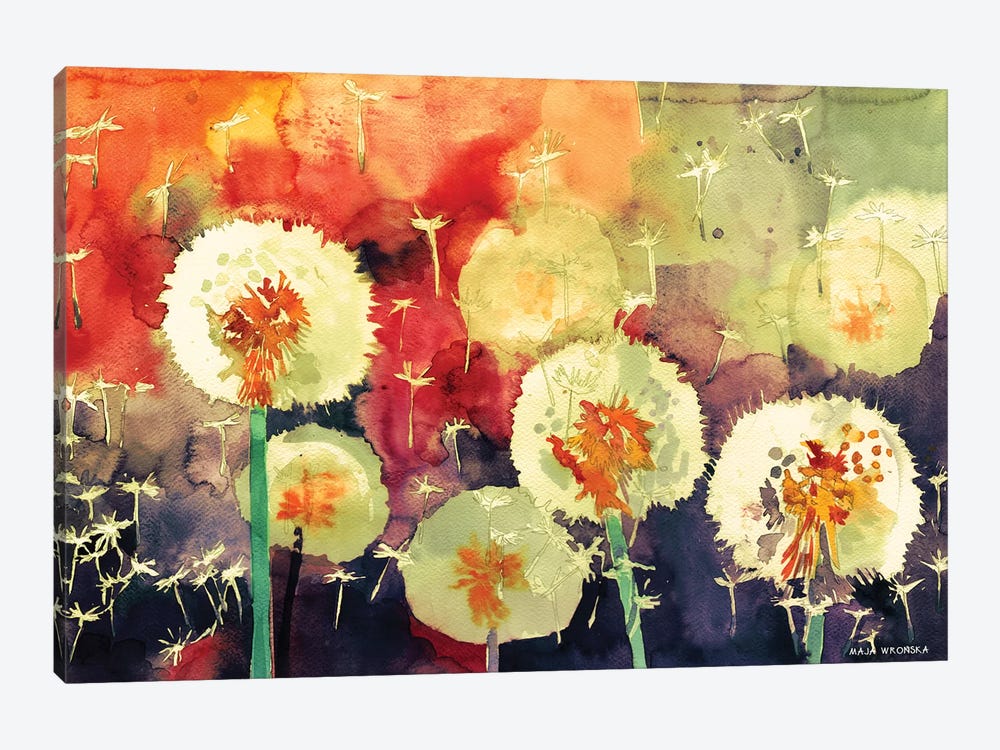 Dandelions by Maja Wronska 1-piece Canvas Art