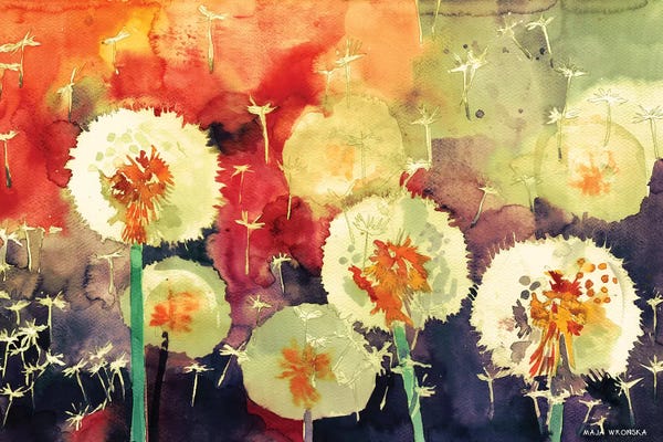 Watercolor Flowers: Dandelions by Maja Wronska