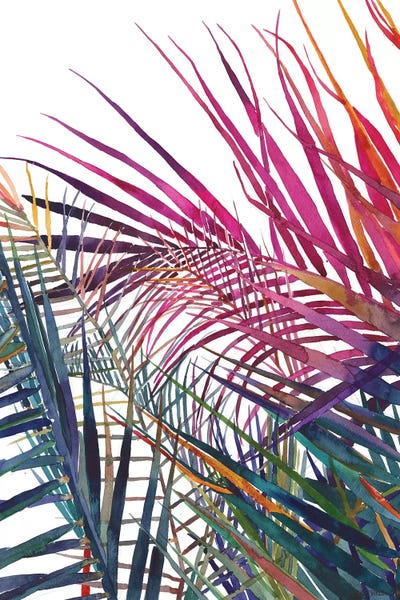 Pineapples: Jungle Vol 1 by Maja Wronska