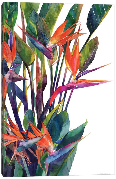 Bird Of Paradise Canvas Art Print - Tropical Leaf Art