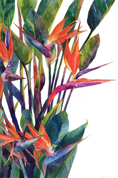 Pineapples: Bird Of Paradise by Maja Wronska