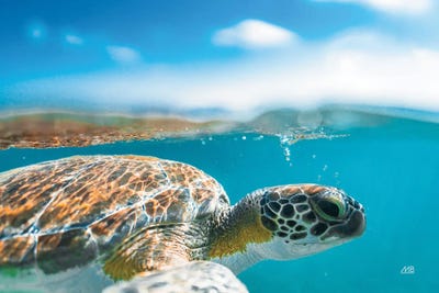 Underwater