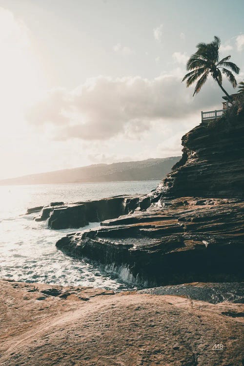 Happy In Hawaii by Max Blakesberg Studios wall art