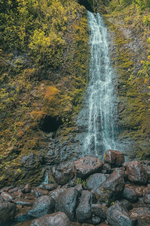 Hawaiian Hideaway by Max Blakesberg Studios wall art