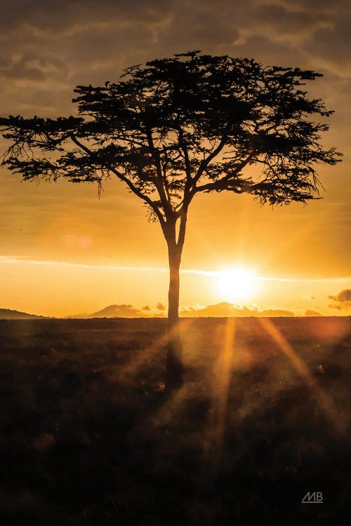 African Sunrise