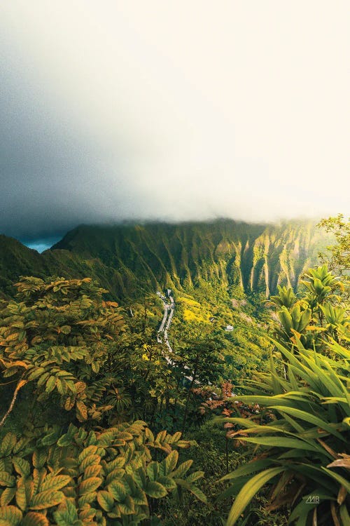 Hawaiian Tropics by Max Blakesberg Studios wall art