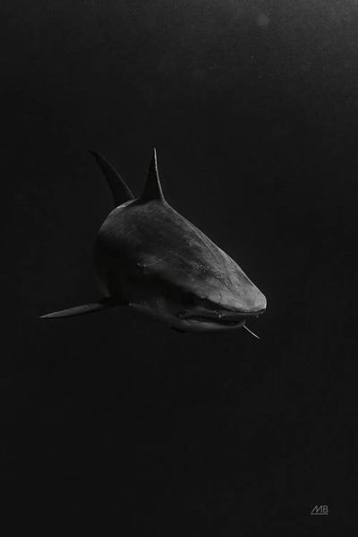 Sharks: In the Depths by Max Blakesberg Studios