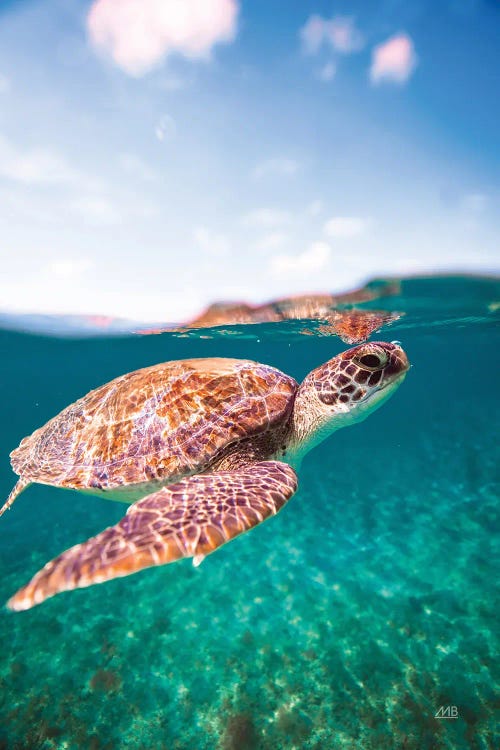 Surfacing