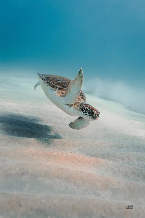 Wave Hello