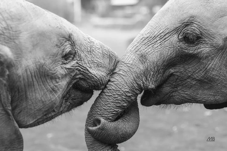 Besties by Max Blakesberg Studios wall art
