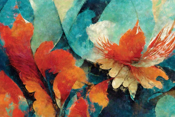 Birds Of Paradise: Bird Of Paradise by Maximiliano Casal