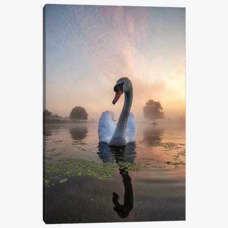 Swan Mist Sun Canvas Print #MXE100} by Max Ellis Canvas Art Print