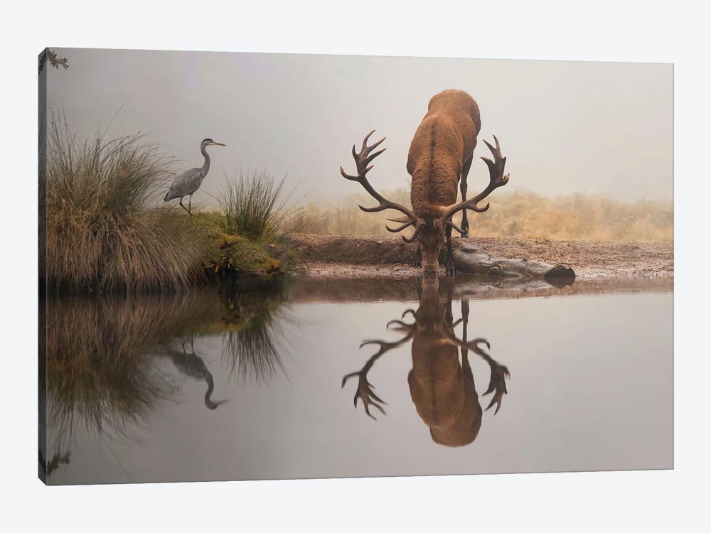 Watering Hole by Max Ellis 1-piece Canvas Print