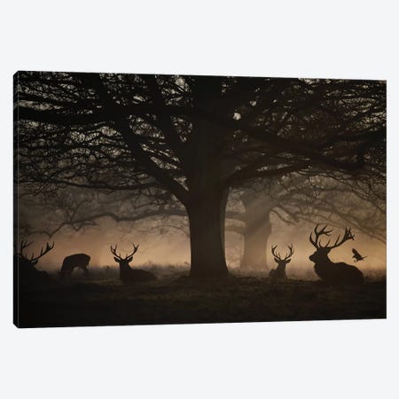 Deep In The Woods Canvas Print #MXE12} by Max Ellis Canvas Artwork