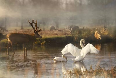 English Scene by Max Ellis framed wall art