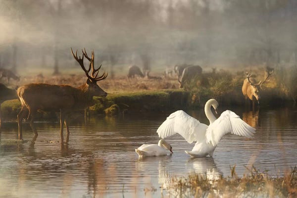 Max Ellis: English Scene by Max Ellis