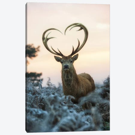 Heart Shaped Antlers I Canvas Print #MXE21} by Max Ellis Canvas Print