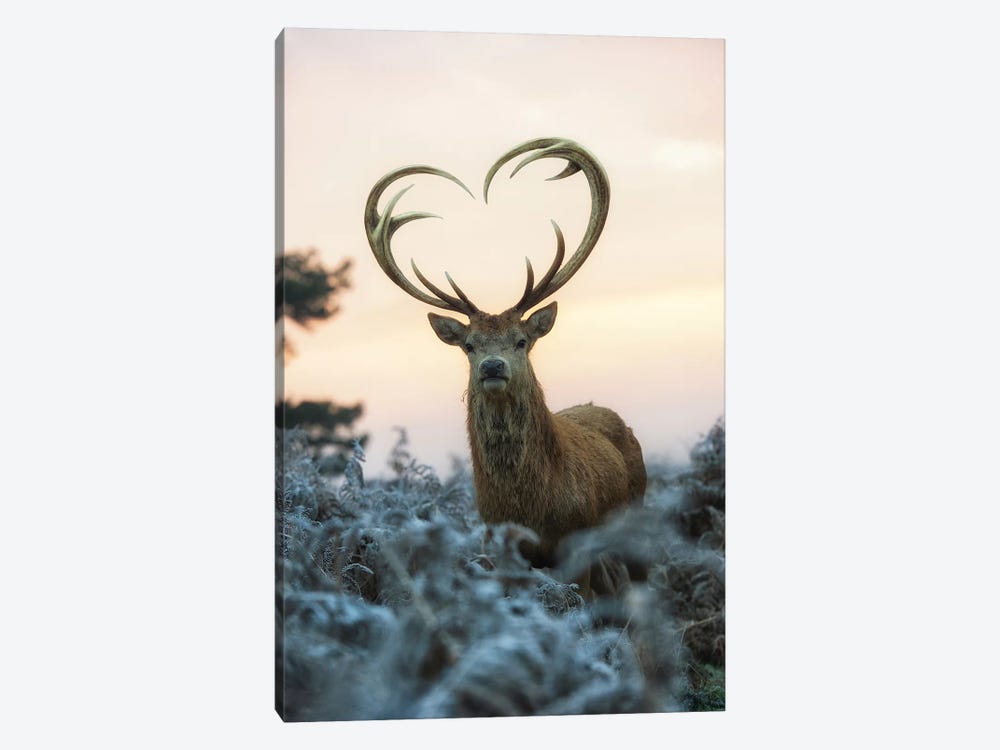 Heart Shaped Antlers I by Max Ellis 1-piece Art Print