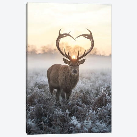 Heart Shaped Antlers V Canvas Print #MXE25} by Max Ellis Canvas Wall Art