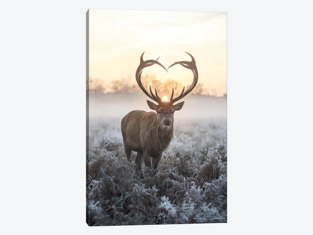Heart Shaped Antlers V by Max Ellis 1-piece Canvas Print