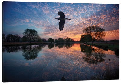 Heron Crossing Canvas Art Print - Max Ellis