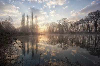 Hidden Realm I by Max Ellis framed wall art