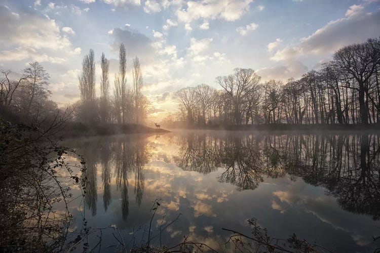 Hidden Realm I by Max Ellis wall art