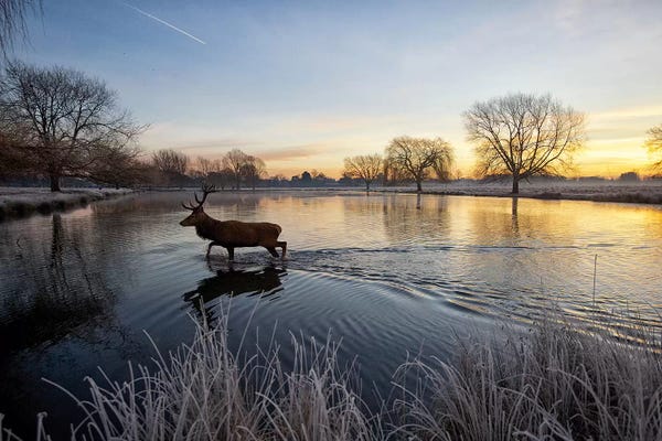 On Golden Pond