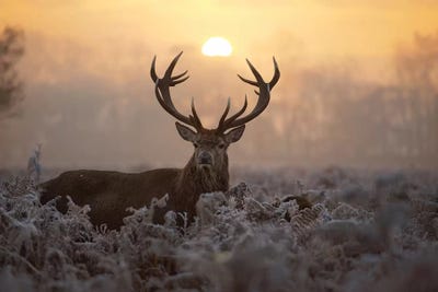 Catch The Sun by Max Ellis framed wall art