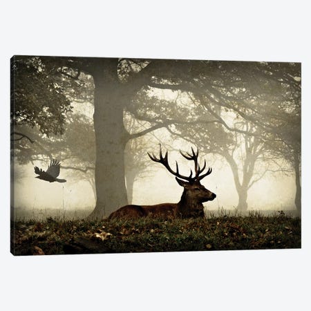 Stag And Crow Texture Canvas Print #MXE51} by Max Ellis Canvas Art