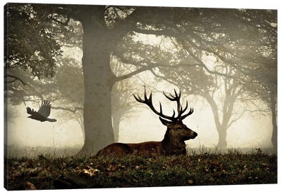 Stag And Crow Texture Canvas Art Print - Max Ellis