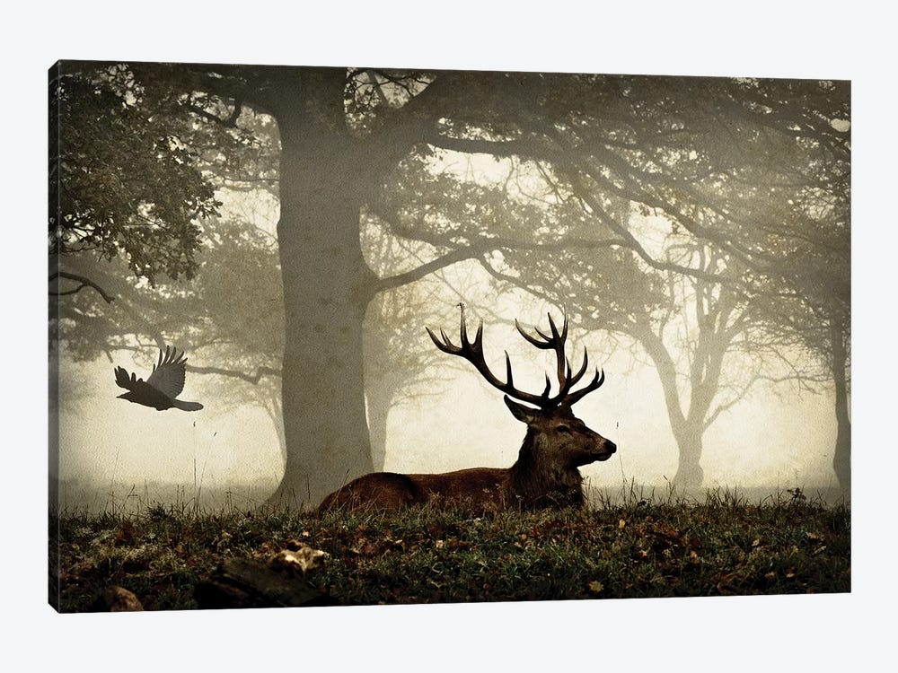 Stag And Crow Texture 1-piece Canvas Art