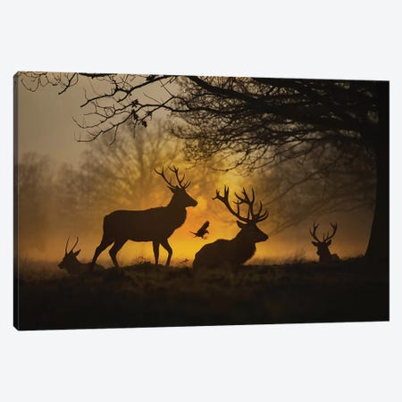 Stags And Crows II Canvas Print #MXE54} by Max Ellis Art Print