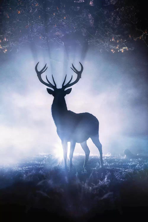 Cernunnos Rising by Max Ellis wall art